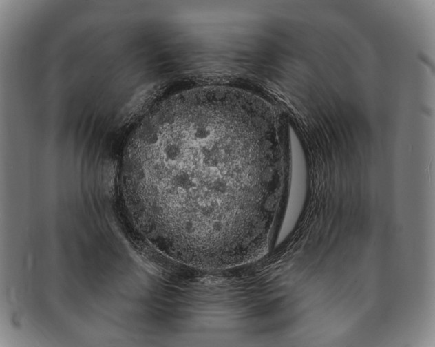 X0000091190742200708231508