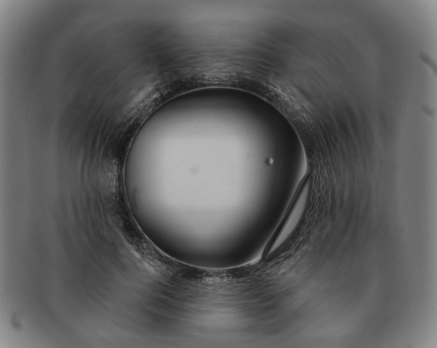 X0000091190744200708231508