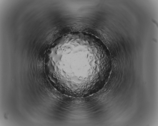 X0000091190745200708231508