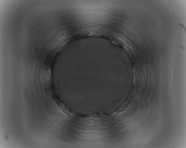 X0000091190748200708231508