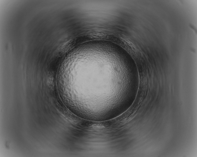 X0000091190749200708231508