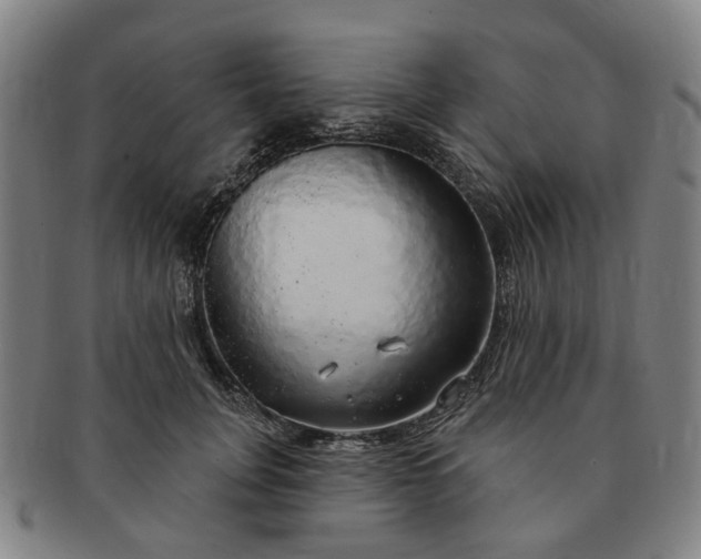 X0000091190751200708231508