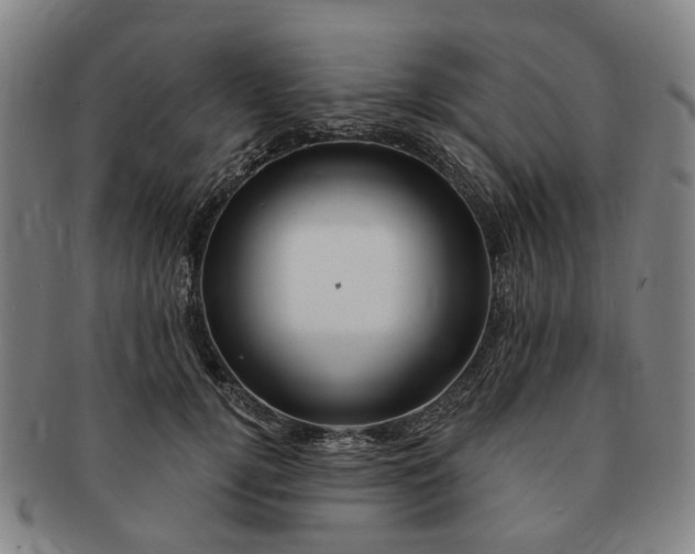 X0000091190752200708231508