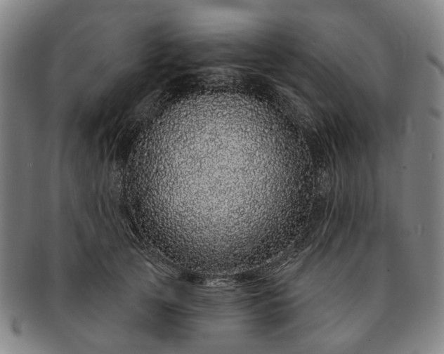 X0000091190753200708231508