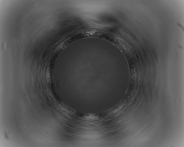 X0000091190754200708231508