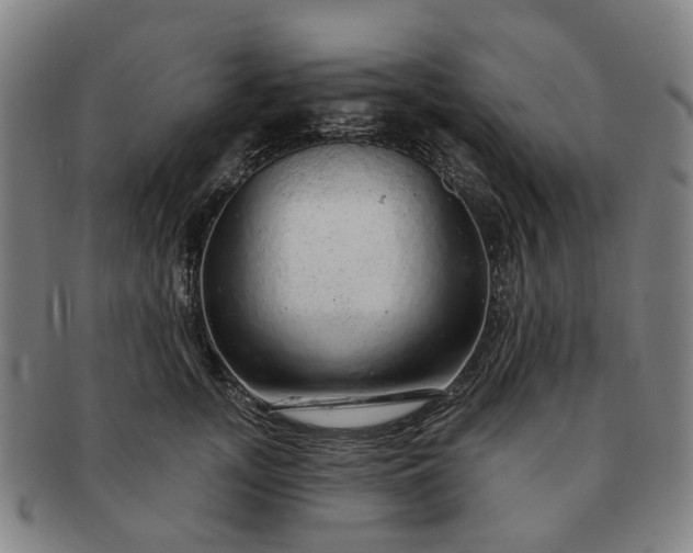 X0000091190755200708231508