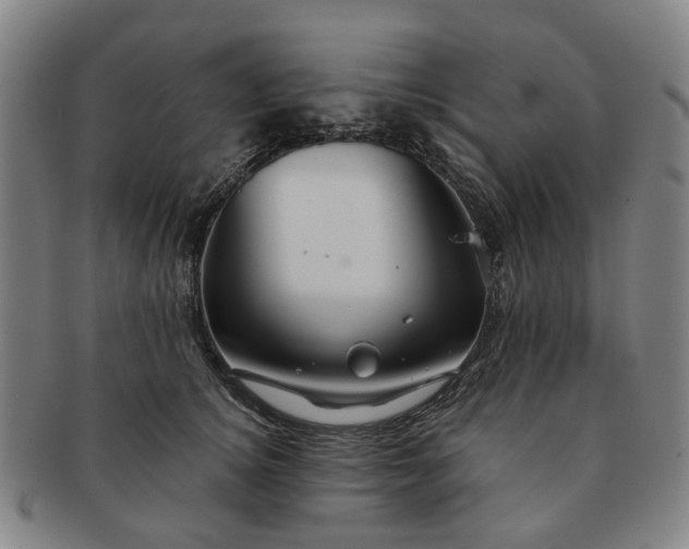 X0000091190756200708231508