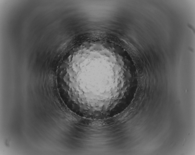 X0000091190757200708231508