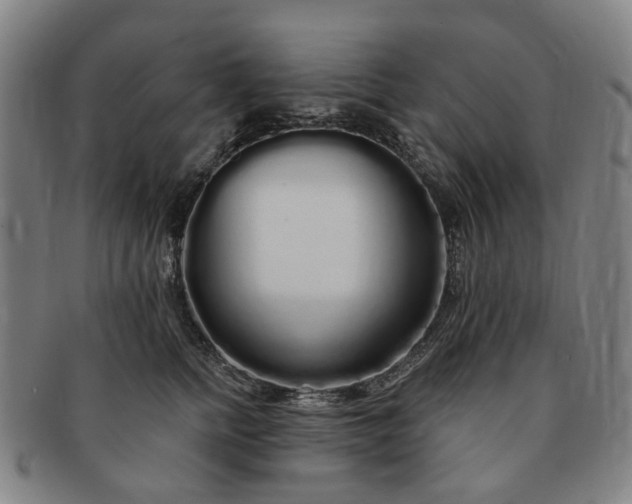 X0000091190758200708231508