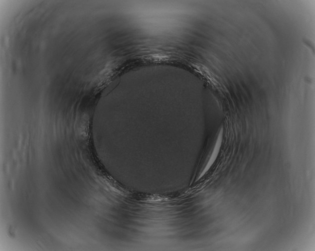 X0000091190760200708231508