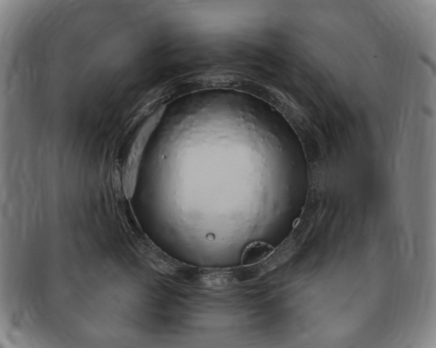 X0000091190761200708231508