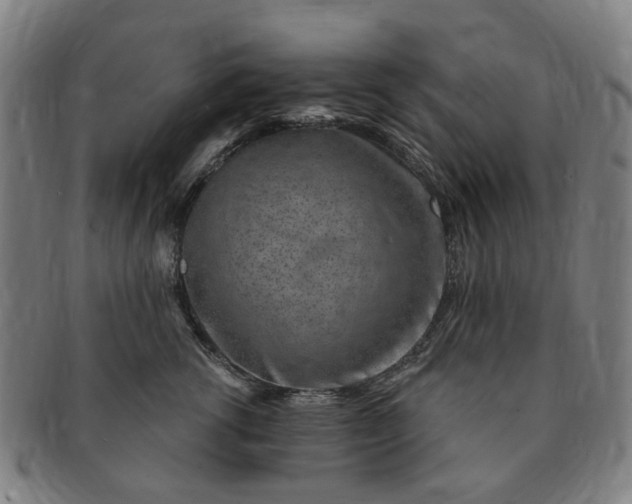 X0000091190762200708231508