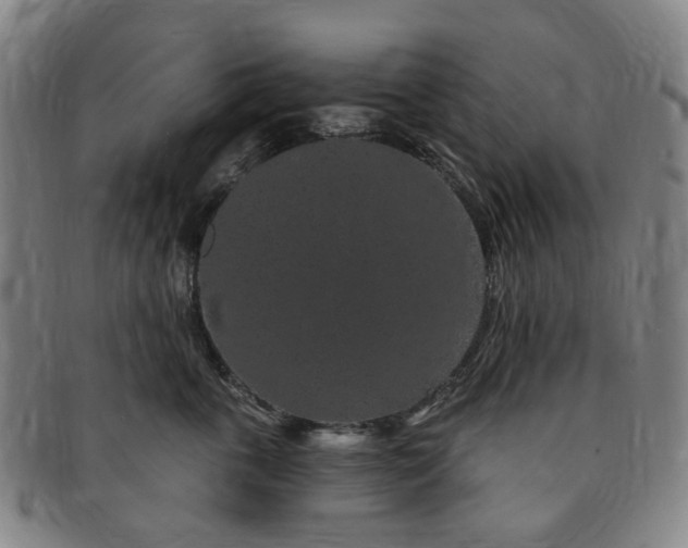 X0000091190763200708231508