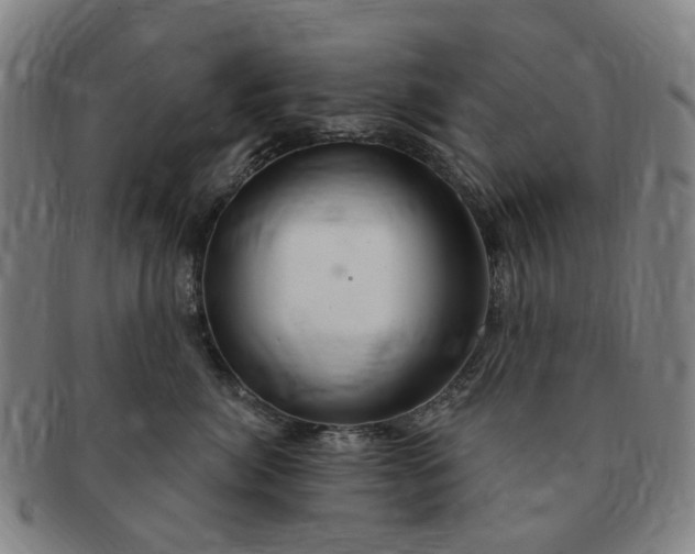 X0000091190764200708231508