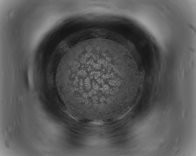 X0000091190765200708231508