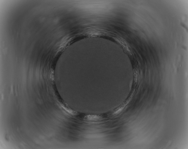 X0000091190766200708231508