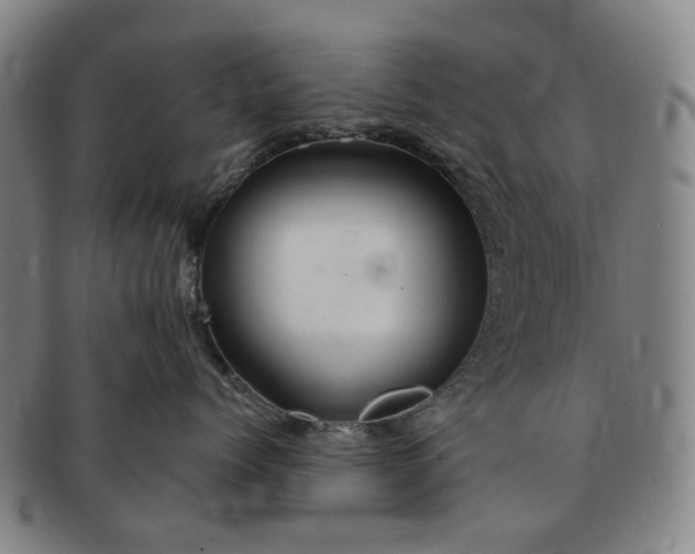 X0000091190768200708231508