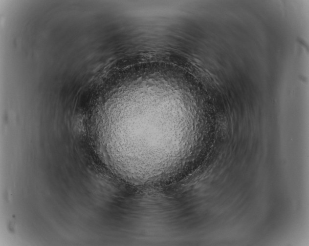 X0000091190770200708231508