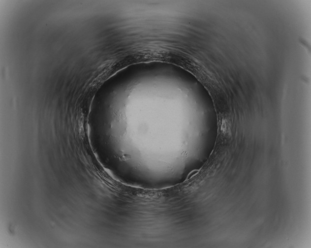 X0000091190771200708231508