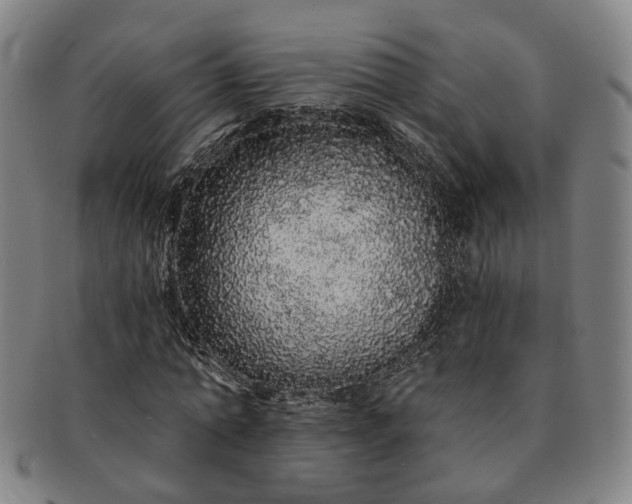 X0000091190774200708231508