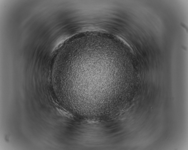 X0000091190775200708231508