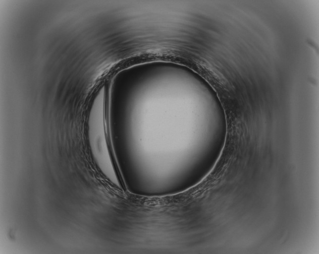 X0000091190776200708231508