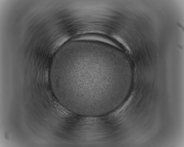 X0000091190777200708231508