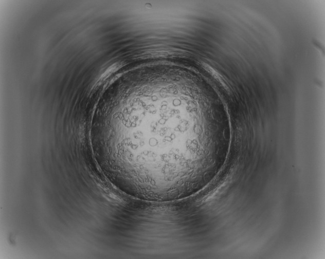 X0000091190778200708231508