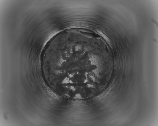 X0000091190779200708231508