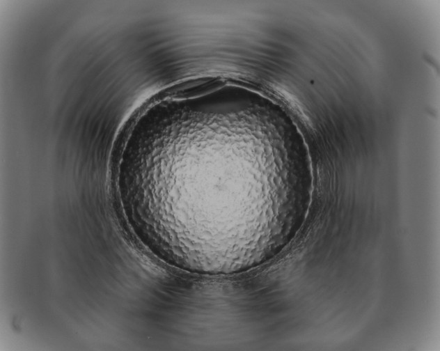 X0000091190780200708231508