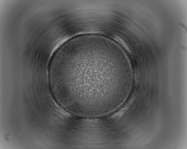 X0000091190781200708231508