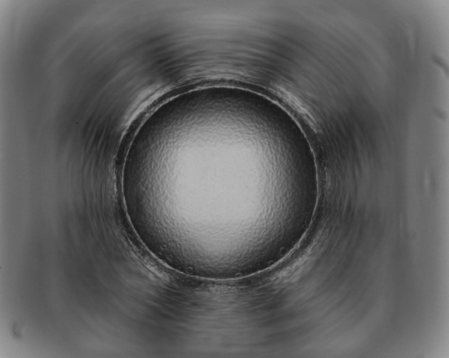 X0000091190782200708231508