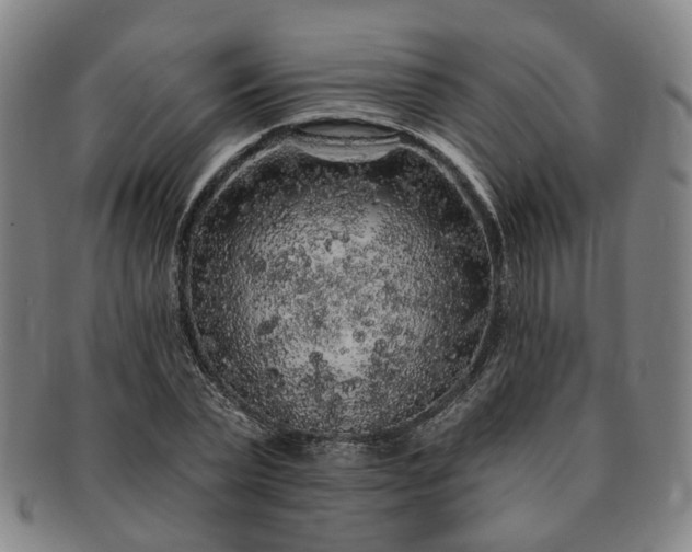 X0000091190783200708231508