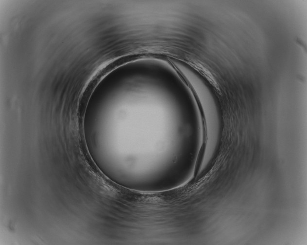 X0000091190784200708231508