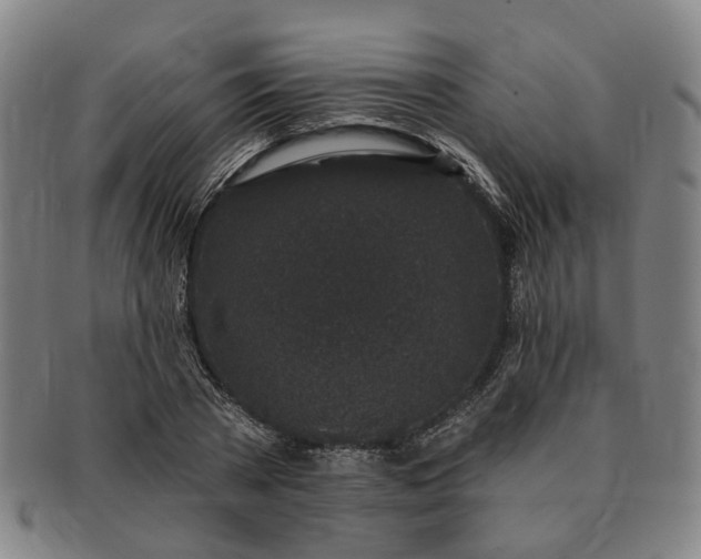 X0000091190785200708231508