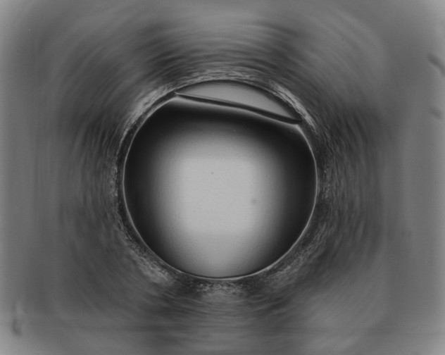 X0000091190786200708231508