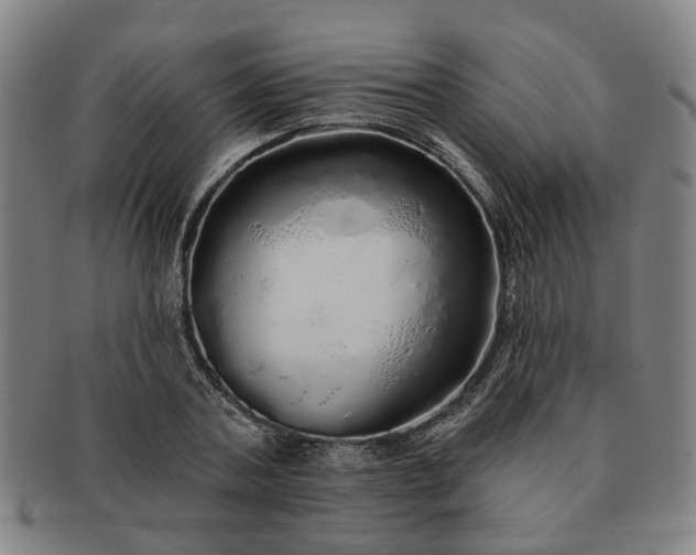 X0000091190787200708231507