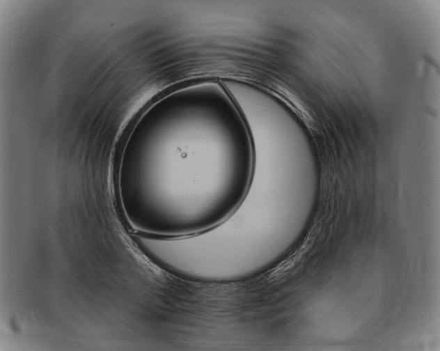 X0000091190788200708231507