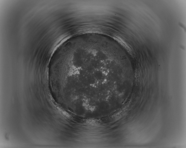 X0000091190790200708231507