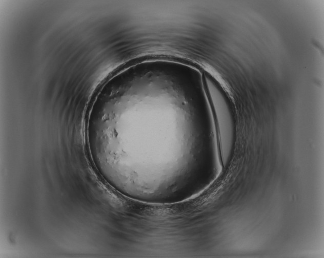 X0000091190791200708231507