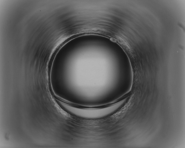 X0000091190792200708231507