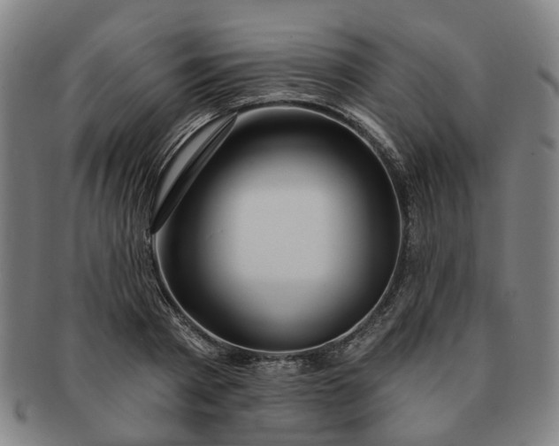 X0000091190793200708231507