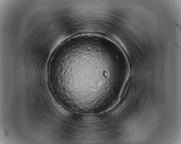 X0000091190795200708231507