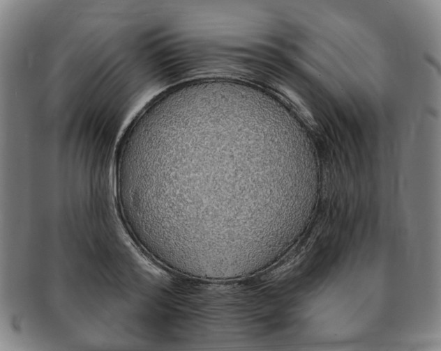 X0000091190796200708231507