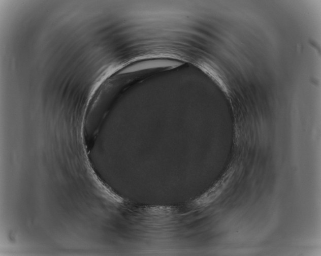 X0000091190797200708231507