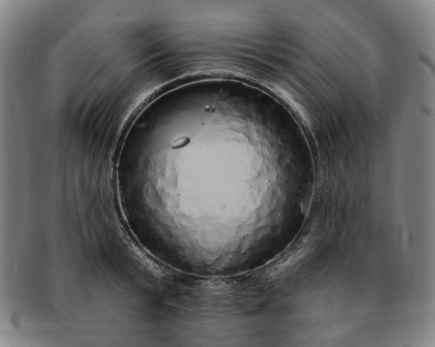 X0000091190799200708231507