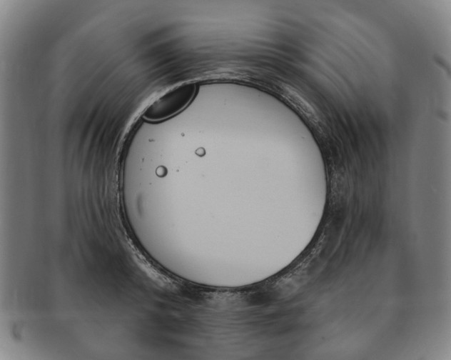 X0000091190800200708231507