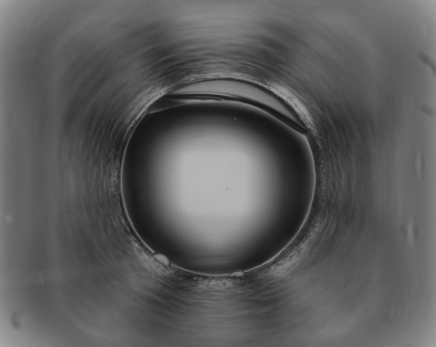 X0000091190801200708231507