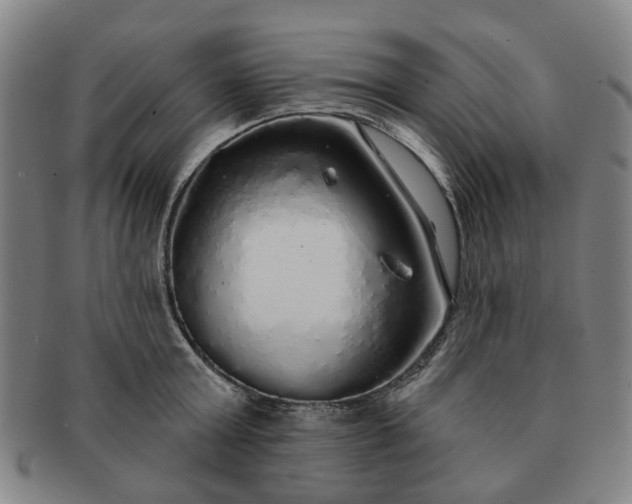 X0000091190803200708231507