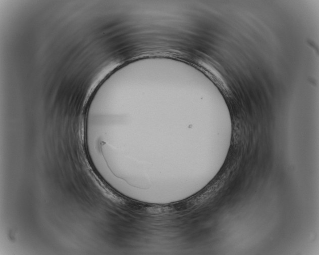 X0000091190804200708231507